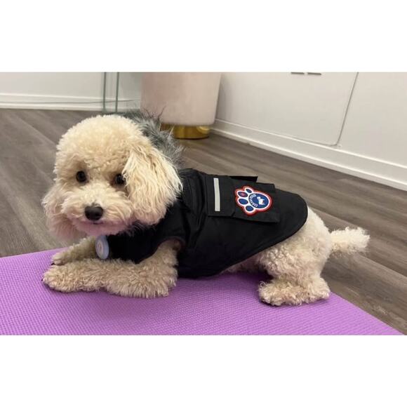 Canada pooch dog puff jacket size 1, 12” length - Picture 6 of 6